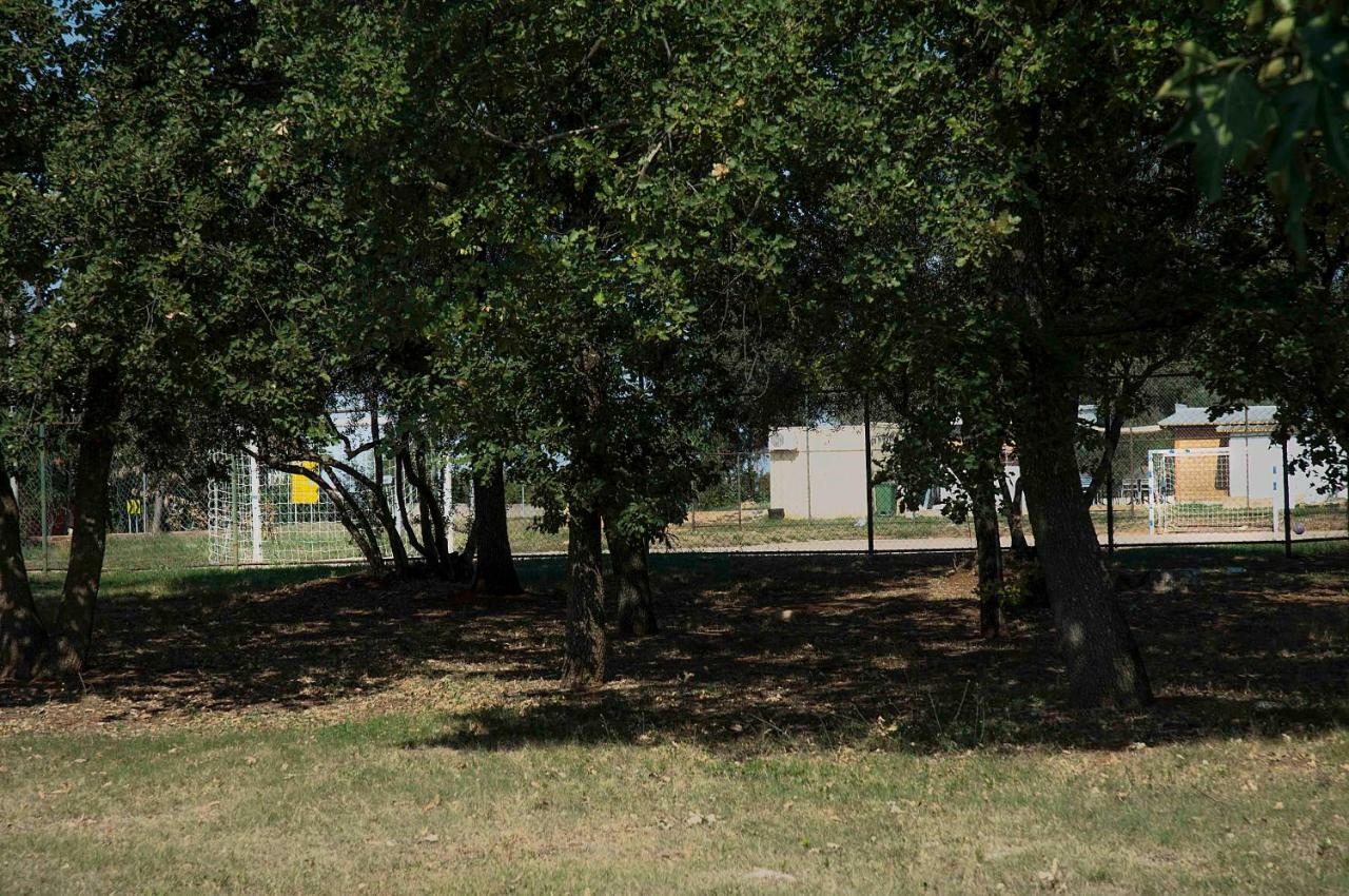 Apartman Matosevic Poreč Zewnętrze zdjęcie